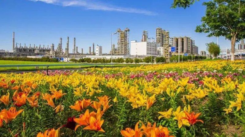 高分子材料环保标准解析：环保等级划分与实施要点